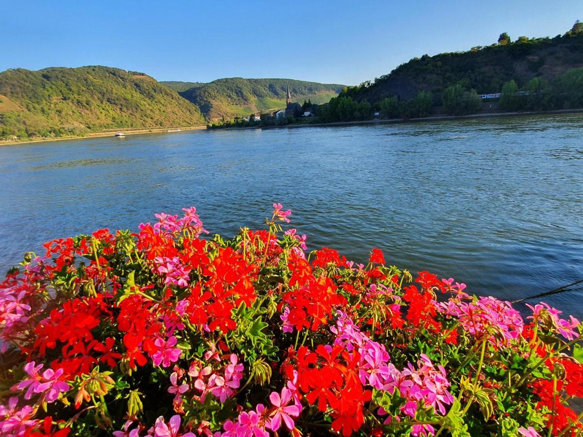 Grosse Wohnung Mit Rheinblick บอพพาร์ด ภายนอก รูปภาพ
